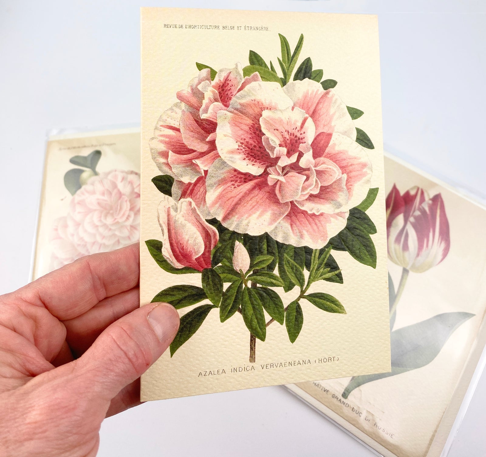 Note Cards