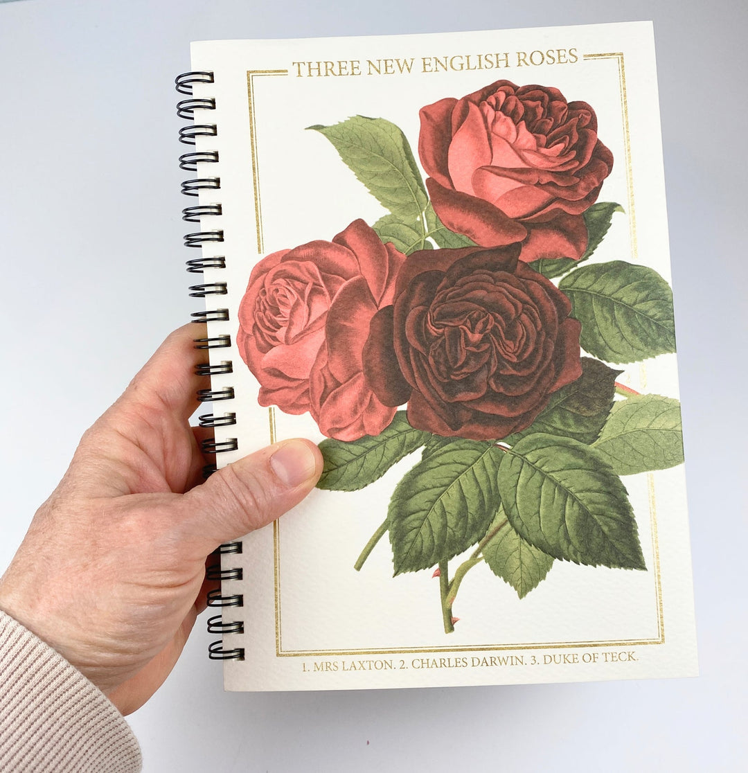 Notebooks-letterseals.mom
