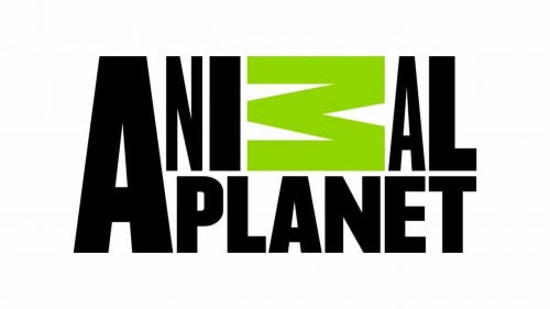 Animal-Planet-Logo-2008-500x281_03cc6cf8-3411-439f-8dfd-2900d695eb5a[product-name]-letterseals.mom