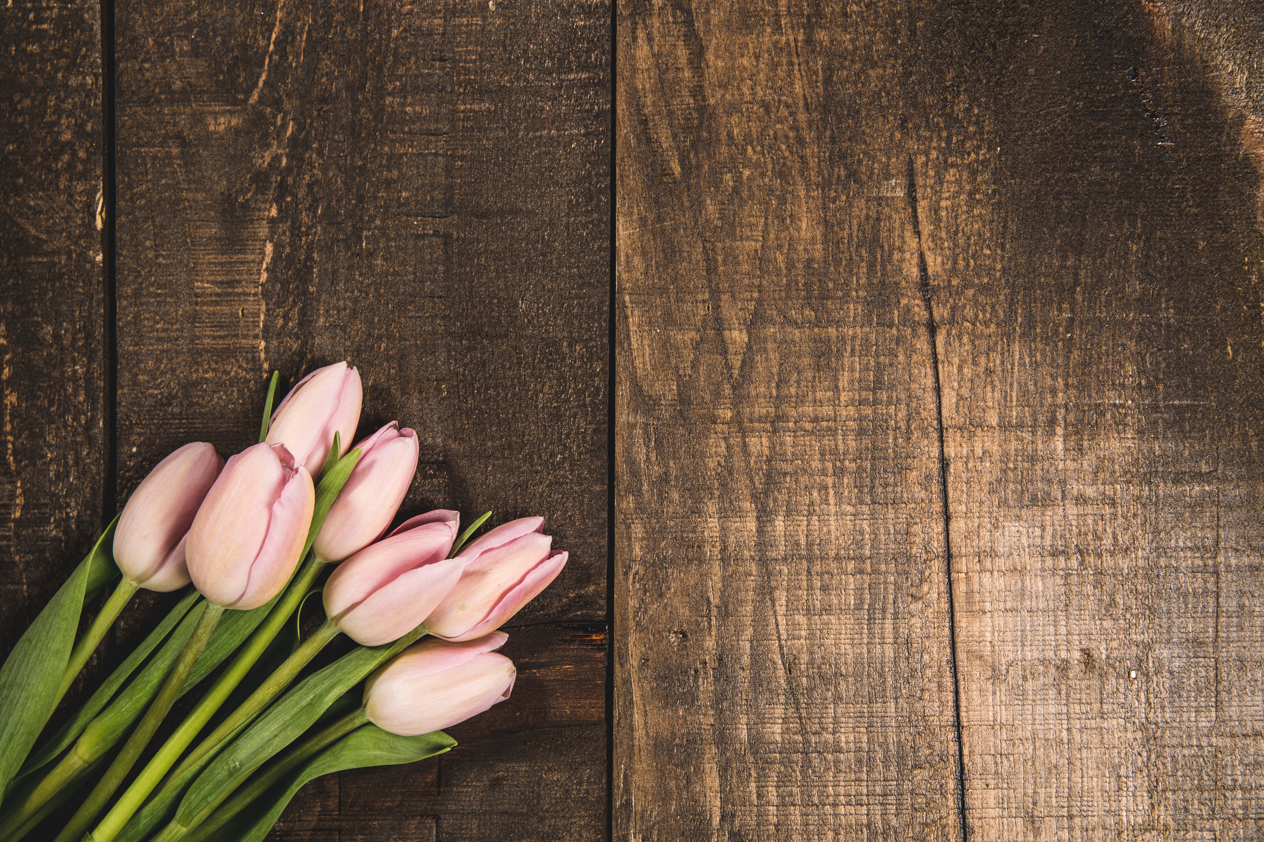 pink-tulips-on-wood-texture[product-name]-letterseals.mom